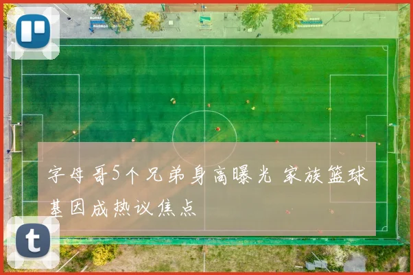 字母哥5个兄弟身高曝光 家族篮球基因成热议焦点