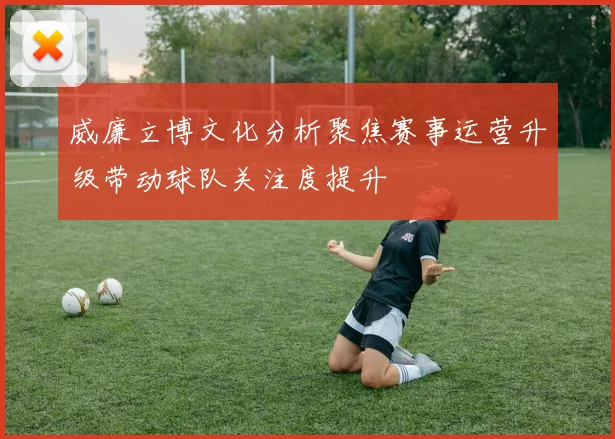威廉立博文化分析聚焦赛事运营升级带动球队关注度提升