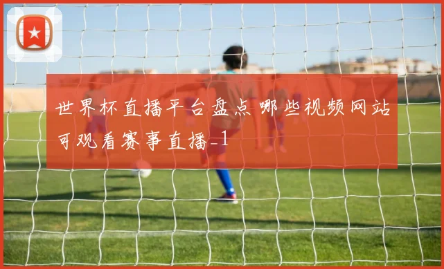 世界杯直播平台盘点 哪些视频网站可观看赛事直播_1
